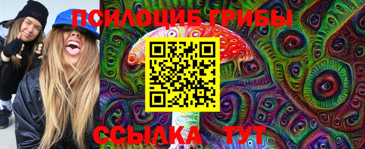 Галлюциногенные грибы прущие грибы  Вход с VPN  Гурьевск 