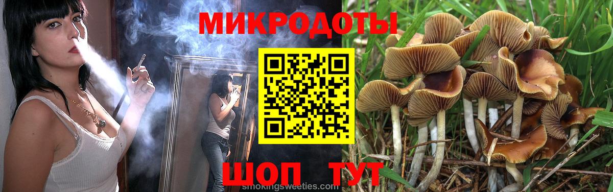 Псилоцибиновые грибы MAGIC MUSHROOMS Гурьевск